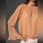 Anthropologie NEW WOMENS  Sheer Blouse in Terracotta Medium Photo 1
