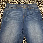 Gloria Vanderbilt Denim shorts size 12P Photo 1