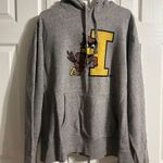 Tailgate Iowa state university  hoodie Photo 0