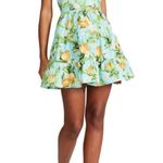 Steve Madden Summer Dress, Sky Blue Floral Size 8 New w/Tag Retail $89 Photo 0