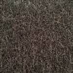 MSSP Black Eyelash Long Sleeve Sweater Large L Photo 6