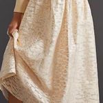 Anthropologie Pankaj & Nidhi Burnout Shimmer Maxi Skirt Photo 0