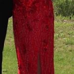Primavera Couture  Prom Dress Photo 2