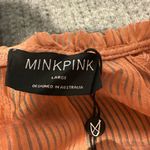 MINKPINK  Sheer Blouse Top Blush Terracotta Stripe Balloon Sleeve Size Large NWT Photo 5