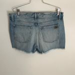 joe's jeans Joe’s “the Lovers” shorts‎ Photo 3