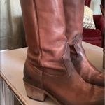 FREEBIRD by Steven Falcon Photo 1