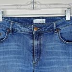 Loft Ann Taylor  Curvy Straight Cropped Denim Jeans Size 12 Medium Wash Blue Photo 1