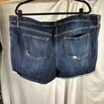 Ava & Viv 24W Dark Wash Mid Rise Midi Short Denim Cuffed Distressed Plus Size Blue Photo 1