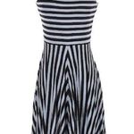 Loft Blue Striped Cap Sleeve Fit & Flare Dress Womens XXS Casual Classic Mini Photo 0