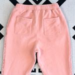 Adidas  × IVY PARK French Terry Jogger Sweatpants Ambient Blush Unisex Large Photo 9