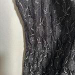 Bebop Black Lace‎ Grunge Whimsigoth Gothic Dress Knee Length Round Neck Short Sleeve M Photo 6