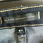 Vervet Flying Monkey Platinum Skinny Jeans Photo 3