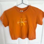Vintage Y2K Calvin Klein Cropped Tee Photo 0
