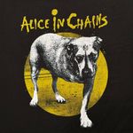 Alice In Chains Self Titled Album Rock BandT-Shirt Size 2XL Photo 1