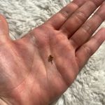 Mejuri  14k gold sphere stud (single) Photo 2