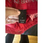 Lane Bryant Red Girlfriend Short Shorts Photo 7