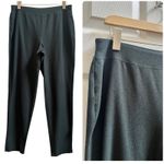Eileen Fisher Green Viscose Blend Machine Washable Stretch Crepe Pant Medium USA Photo 1