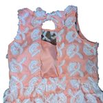 Minuet  Peach Lace Overlay Dress Photo 4