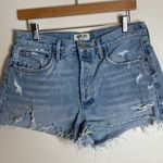 AGOLDE Parker vintage cut off shorts in swamp meet size 28 Photo 1