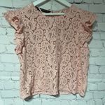 ZARA 2PC Pink Lace Ruffle Drop and MIDI Skirt Snall Photo 3