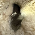 UGG  Australia Bailey Button Short Boots – Chestnut – Size 5 Women’s Photo 1