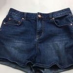 American Rag  ladies  shorts 9 Photo 12