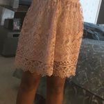Tobi Light Pink Lace Dress Photo 0