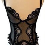 Vintage Jezebel René of Hollywood Sheer Pin Photo 0