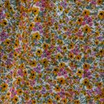 Universal Threads Universal Thread Dress Photo 2