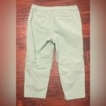 Talbots  Perfect Skimmer Pants Womens 10 Green Gingham Plaid Cropped Pants EUC Photo 3