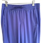 Athleta  Arrival Pant Dark Adonis Blue Purple Ankle Straight Leg Women's‎ size 10 Photo 5