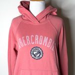 Abercrombie & Fitch Abercrombie Pink Logo Hoodie Photo 1