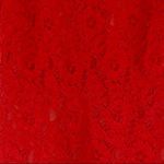 J.Crew  Orange Lace Dress Photo 2