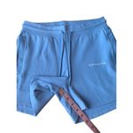 Alphalete  Essential Core Shorts In Ice Blue Photo 9