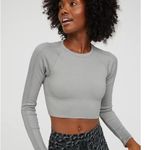 Aerie OFFLINE By  Big Chill Seamless Long Sleeve T-Shirt stone gray color small Photo 0