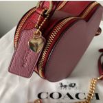 Coach Heart Crosssbody Bag Photo 3