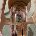 Silver Slipper Gold Heels Photo 3