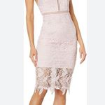Bardot Women’s 4 Pink Gemma Floral Lace Halter Backless Eyelet Sheer Midi Dress Photo 3
