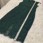 Bardot  Lace Illusion Sheath Dress in Green Size 6 Photo 5