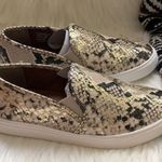 Steve Madden • safary python snakeskin metallic sneakers Photo 55