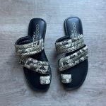 Coconuts by Matisse  Snakeskin Pattern Slide Flat Sandals Size 37 Photo 0