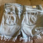Celebrity Pink  Jean Shorts Distressed Photo 1