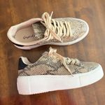 Qupid Snakeskin Platform Sneakers Photo 2