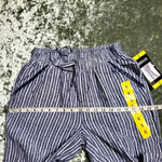 Briggs New York Briggs Striped Linen Pants Photo 6