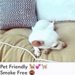 Wildfox Castaway Striped Roadtrip Rainbow - pastel version - see photos Photo 7