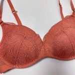 Lively The No Photo 1