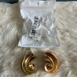 Conch Swirl Goldtone Pierced Earrings Gold Photo 2