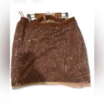 Free People Skirt sequin, velvet pink rose gold sz 10 Photo 1
