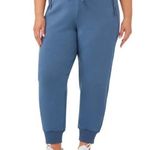 Kirkland Signature NWT  Ladies’ Active Blue Jogger Pants Plus Sz 3X Photo 0