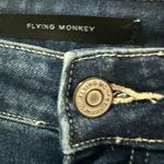 Vervet Flying monkey Jean Photo 3